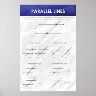 Parallelle lijnen - Poster Wiskunde