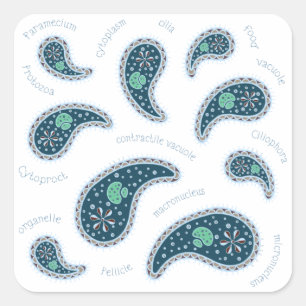 Paramecia Paisley Biologie Wetenschap Microbe Donk Vierkante Sticker