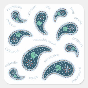 Paramecia Paisley Biologie Wetenschap MIcrobe Donk Vierkante Sticker