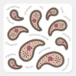 Paramecia Paisley Biologie Wetenschap Microbe Wit Vierkante Sticker