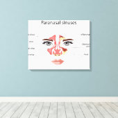 Paranasale sinussen canvas afdruk (Insitu (Houten vloer))