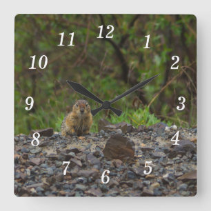 Paraplu alsjeblieft wandklok vierkante klok