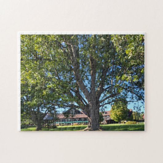 Paraplu Boom Legpuzzel (Horizontaal)