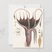 Paraplu inktvis, zeedieren kaart (Voorkant)