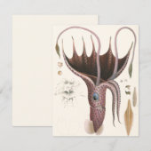 Paraplu inktvis, zeedieren kaart (Voorkant / Achterkant)