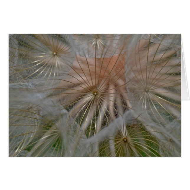"Parapluies pustees" par mysteryella (Devant horizontal)