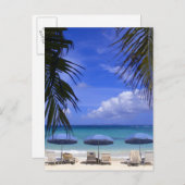 paraplu's op het strand van St. Maarten, Caribisch Briefkaart (Voorkant / Achterkant)