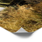 Pararescue Jumpers Poster (Hoek)