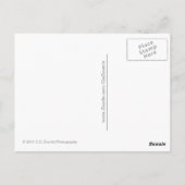 Parasailing Love Briefkaart (Achterkant)