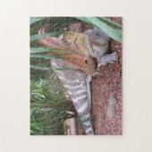 Parasaurolophus Dinosaur - Puzzle (Vertical)