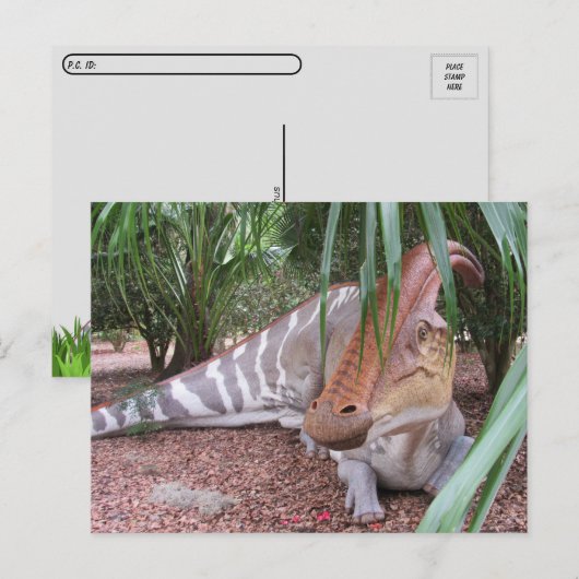 Parasaurolophus - Dinosaure - Carte postale (Devant / Derrière)