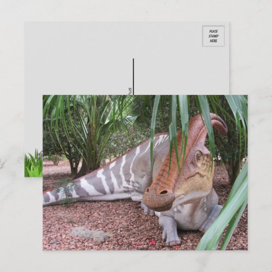 Parasaurolophus - Dinosaure - Carte postale (Devant / Derrière)
