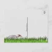 Parasaurolophus - Dinosaure - Carte postale (Dos)
