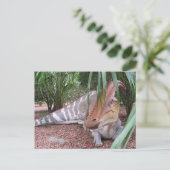 Parasaurolophus - Dinosaure - Carte postale (Debout devant)
