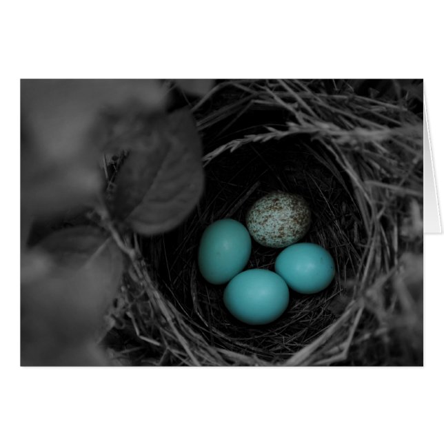 Parasitisme du nid (Devant horizontal)