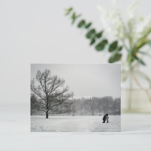 Parc central, Carte postale (Debout devant)