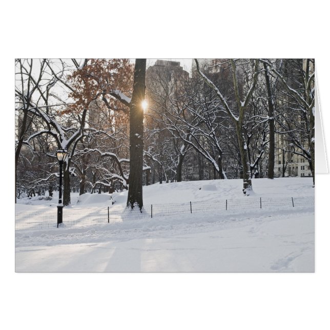 Parc central Sunlight d'hiver (Devant horizontal)