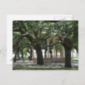 Parc, Charleston Caroline du Sud, Gazebo, Carte po (Devant / Derrière)