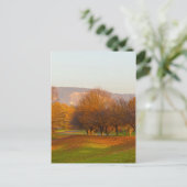 Parc de Rheinaue Carte postale (Debout devant)