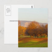 Parc de Rheinaue Carte postale (Devant / Derrière)