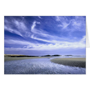 PARC D'ÉTAT DE POPHAM BEACH, MAINE. USA. Cirrus