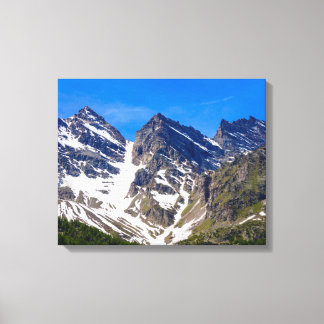 Parc du Grand Paradis, sur toile tendue