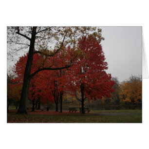 parc edgewood à l'automne