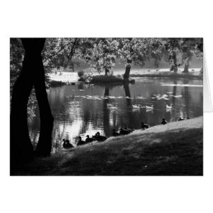 Parc Life gccan