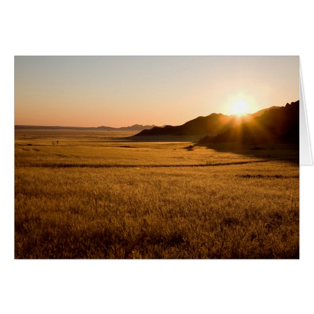 Parc Namib Naukluft (Devant horizontal)