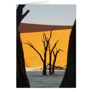 Parc Namib-Naukluft, Sossusvlei Dead Vlei