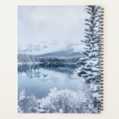 Parc national Banff en hiver (Dos)