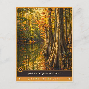 Parc national de Congaree   Carte postale ancienne