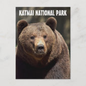 PARC NATIONAL DE KATMAI PORTEZ GRIZZLY CARTES POST (Devant)