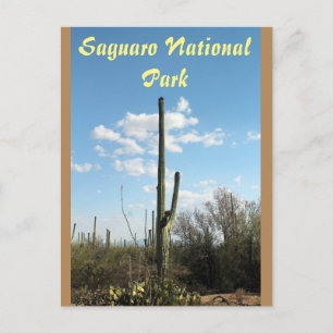 Parc national de Saguaro, carte postale de Tuscon