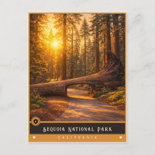 Parc national de Sequoia | Carte postale ancienne (Devant)
