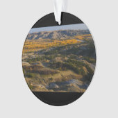 Parc national de Theodore Roosevelt (devant)