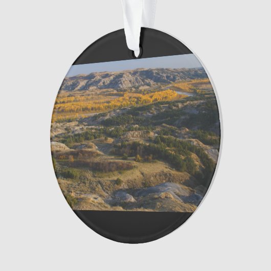 Parc national de Theodore Roosevelt (devant)