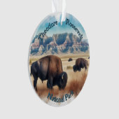 Parc national de Theodore Roosevelt Bison Souvenir (devant)