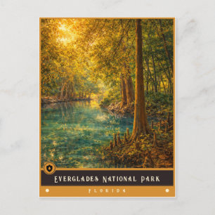 Parc national des Everglades   Carte postale ancie