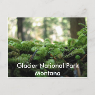 Parc national des Glaciers, Montana Mossy Carte po