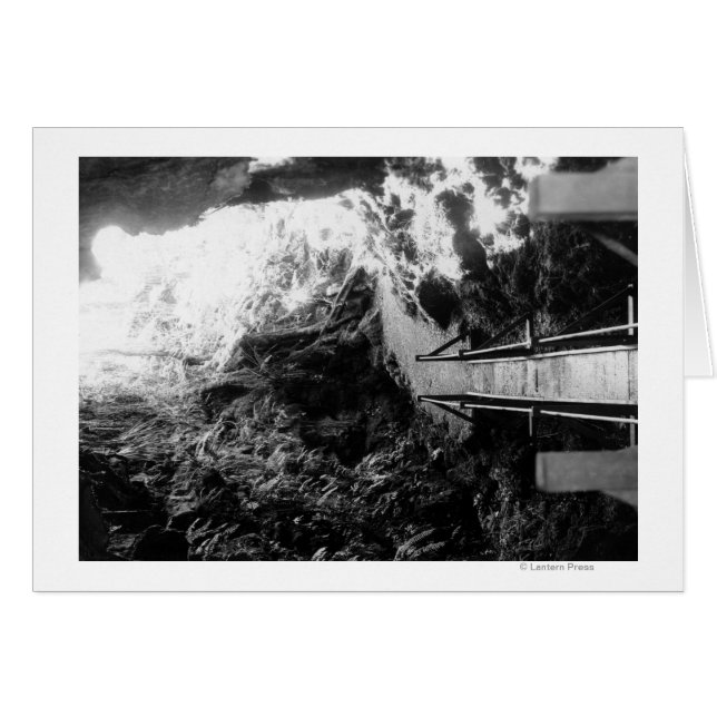 Parc national d'Hawaii, Vue d'un tube de lave (Devant horizontal)