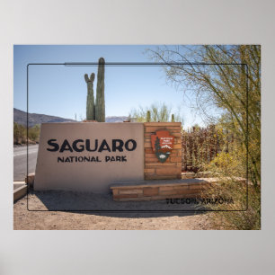 Parc national du Saguaro - Arizona Desert Poster