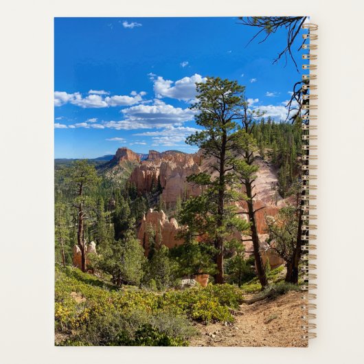 parc national planificateur (Dos)