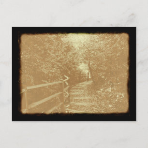 Parc Peterson, Northport, Michigan - Carte postale