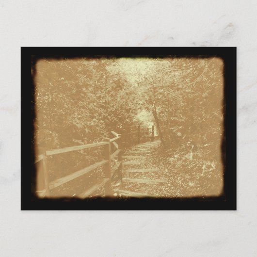 Parc Peterson, Northport, Michigan - Carte postale (Devant)