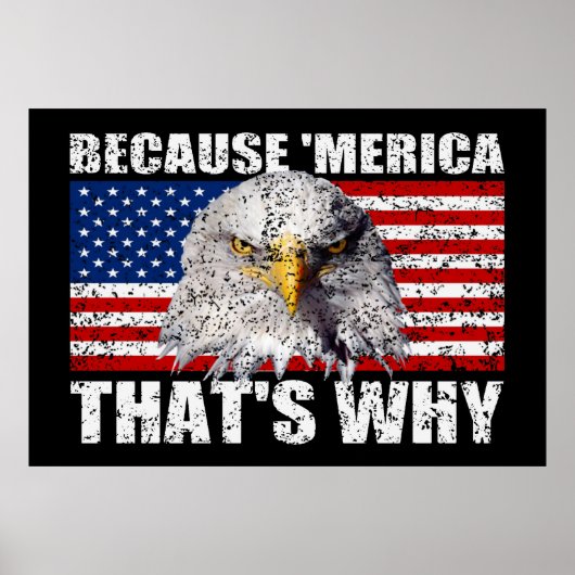 PARCE QUE 'MERICA C'EST POURQUOI US Drapeau Poster (Devant)