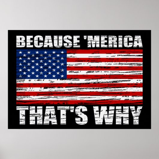 PARCE QUE 'MERICA C'EST POURQUOI US Drapeau Poster (Devant)