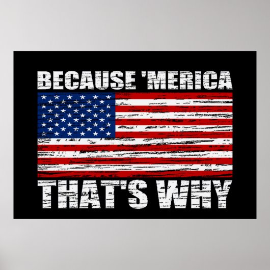 PARCE QUE 'MERICA C'EST POURQUOI US Drapeau Poster (Devant)