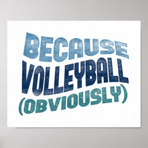 Parce que Poster Volleyball - Funny Volleyball Art