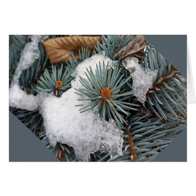 parcelle de neige (Devant horizontal)